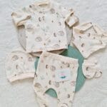 Kirpi Arkadaşlar Hastane Çıkış Seti