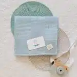 Mint Bebek Pikesi