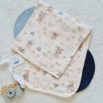 Oyuncu Ayıcık Battaniye