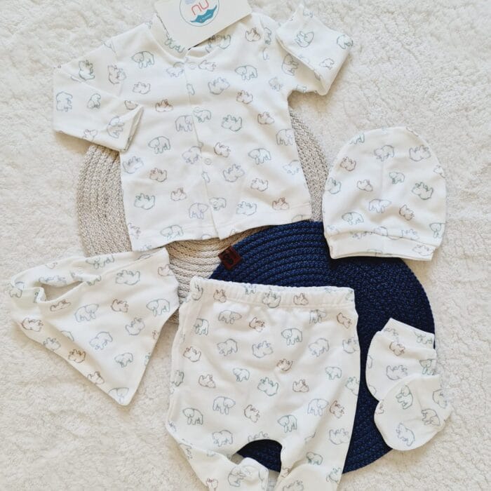 Renkli Ayılar Hastane Çıkış Seti - Görsel 1