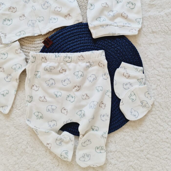 Renkli Ayılar Hastane Çıkış Seti - Görsel 3