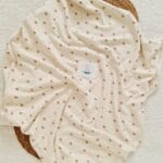 Bears and Bears Battaniye