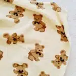 Bear Peluş Battaniye - Görsel 3