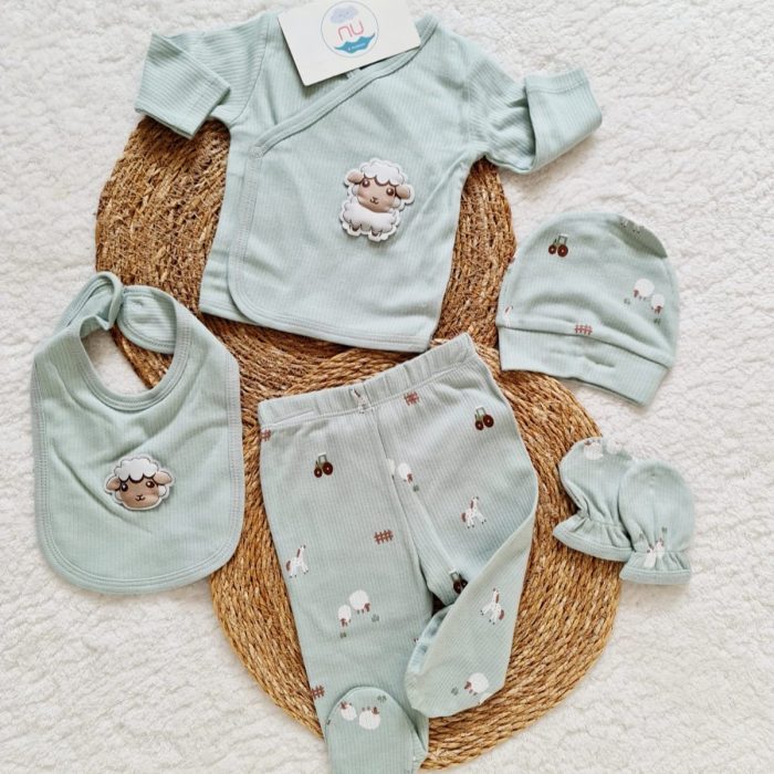 Mini Kuzu Hastane Çıkış Seti - Görsel 1